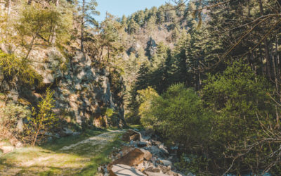 GORGES DU BRAMONT